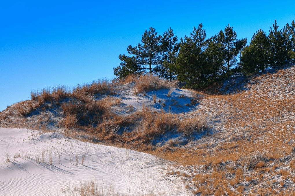 Parque Nacional Slowinski polonia turismo