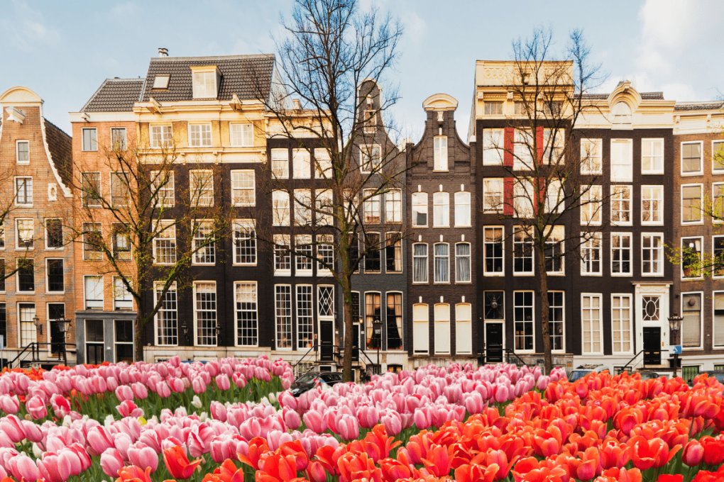 tudo sobre a holanda