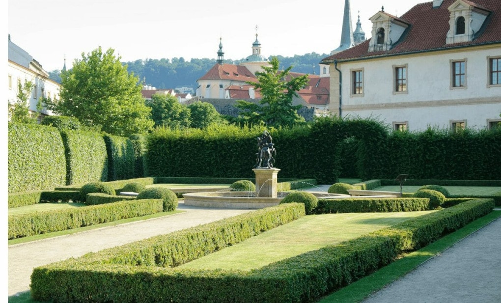 praga inseto