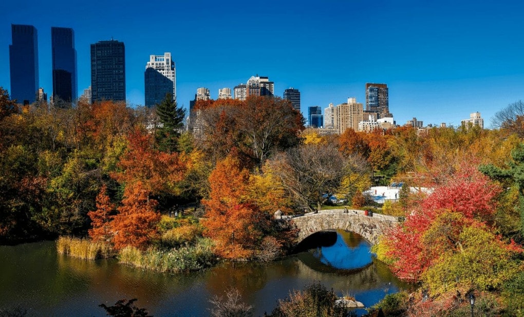 tamanho central park nova york