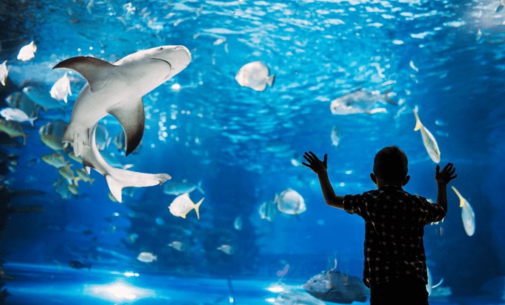 referências vancouver site