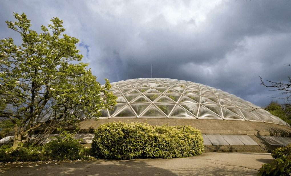 tcc vancouver pronto