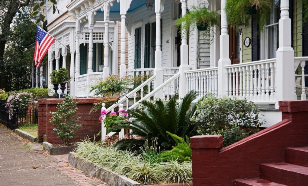 savannah roupas