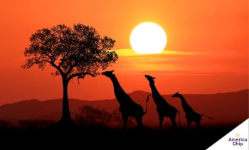 África do Sul
