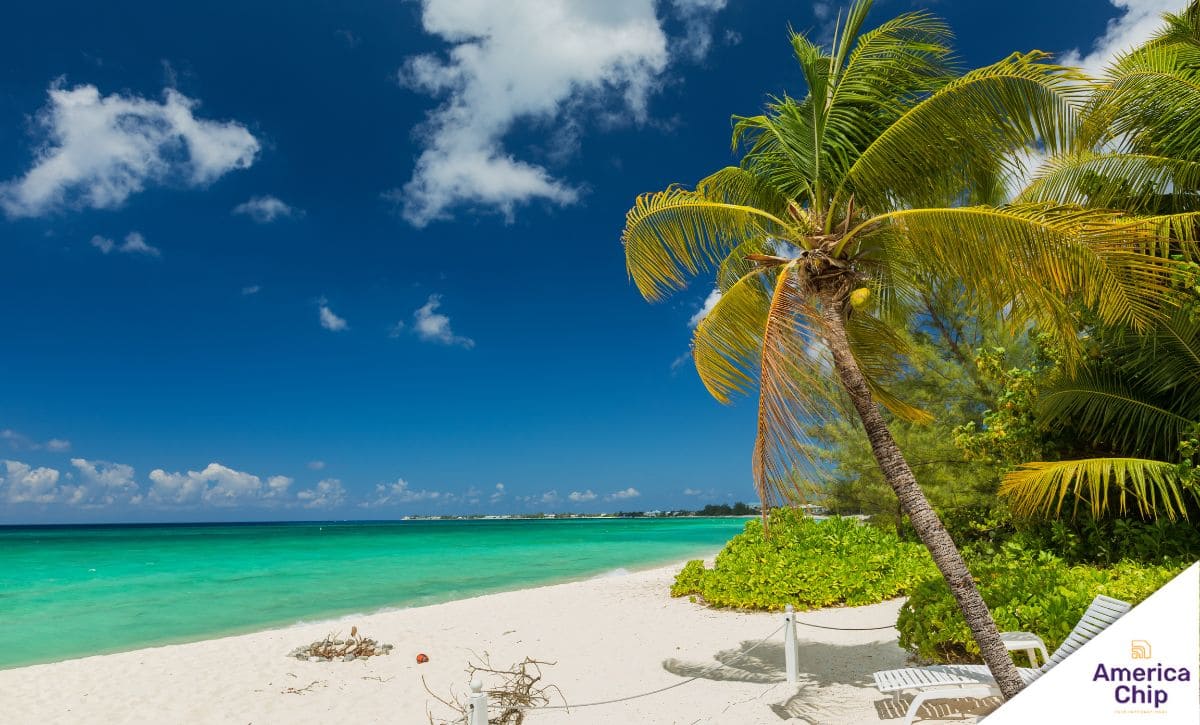 Saiba como é nadar com arraias em Stingray City, nas Ilhas Cayman