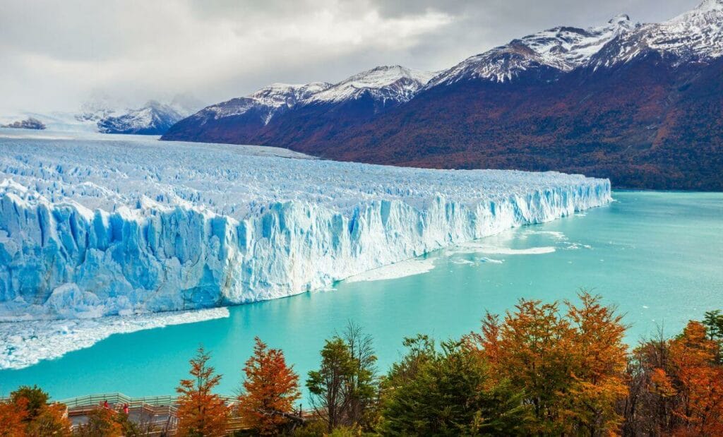 el calafate