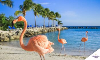 Aruba