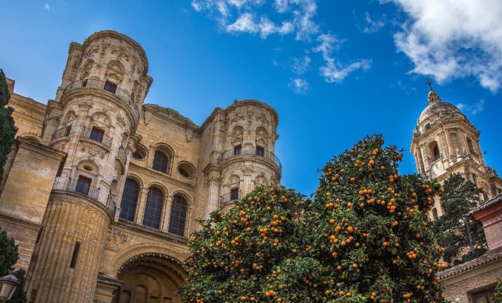 malaga 2024