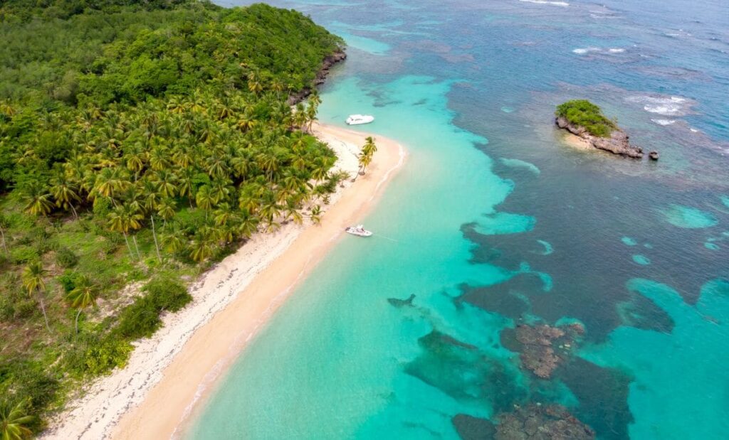 dominica 2024