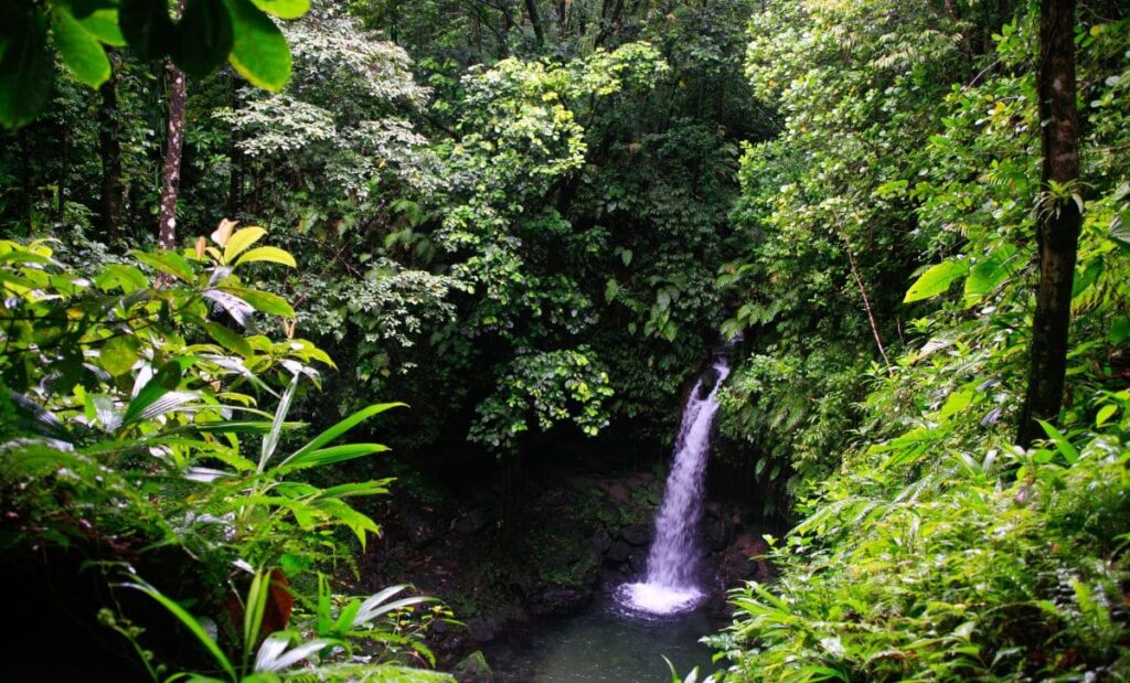 dominica pontos turísticos