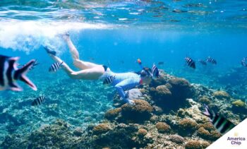 snorkeling