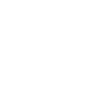 logo-odchip